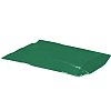 1000 4 x 6 - 2 mil Green Flat Poly Bags