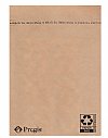 400 #5 (11 x 16) Recyclable Uncushioned Kraft Mailers